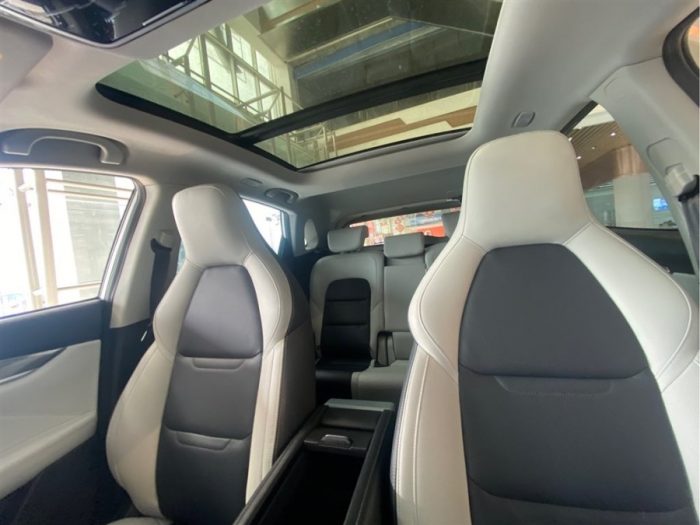 Weltmeister EX5 2020