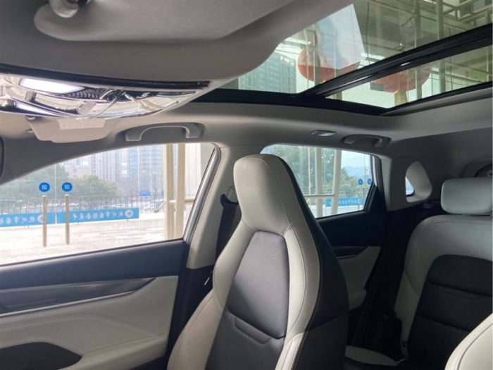 Weltmeister EX5 2020