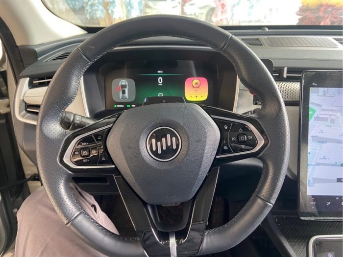 Weltmeister EX5 2020