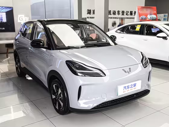 Wuling Bingguo Plus 2024
