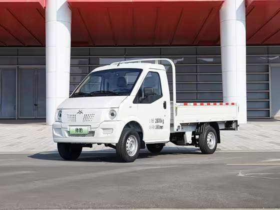 New go now Geo Handsome Leopard 2024