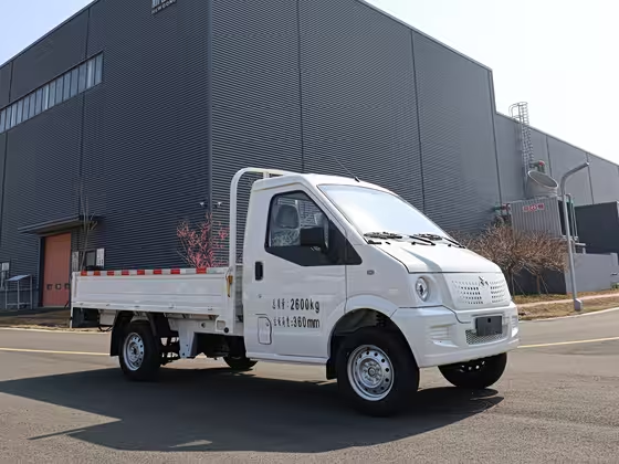 New go now Geo Handsome Leopard 2024