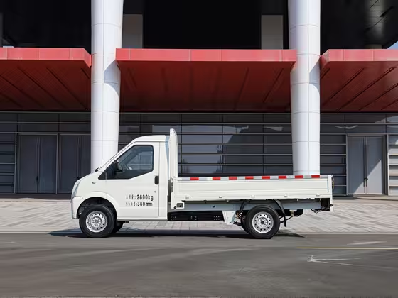 New go now Geo Handsome Leopard 2024