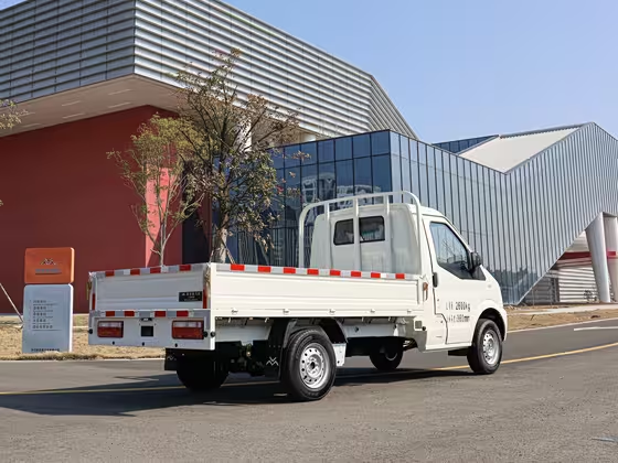 New go now Geo Handsome Leopard 2024