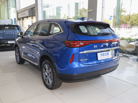 Haval H6 New Energy 2024