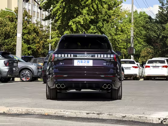 Lynk &amp; Co 09 EM-P 2021