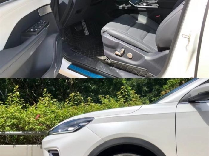 Weltmeister EX5 2021