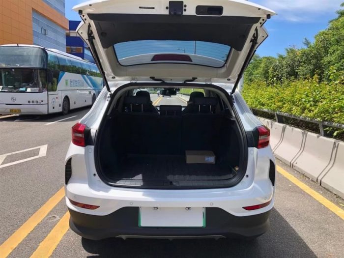 Weltmeister EX5 2021