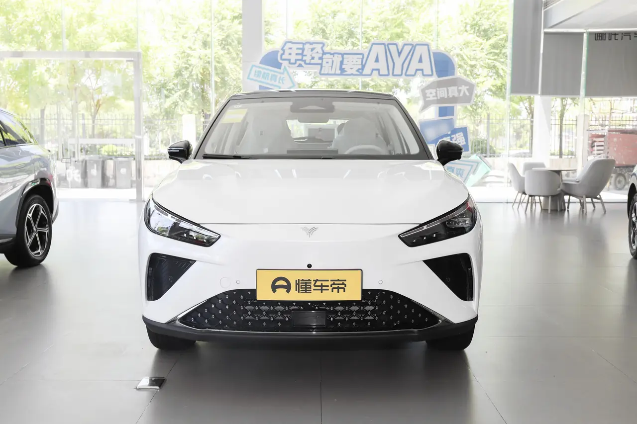 Neta L 2024