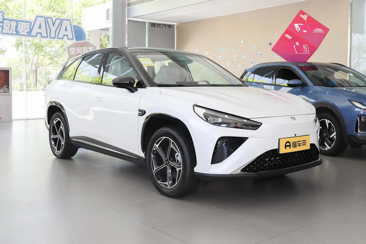 Neta L 2024