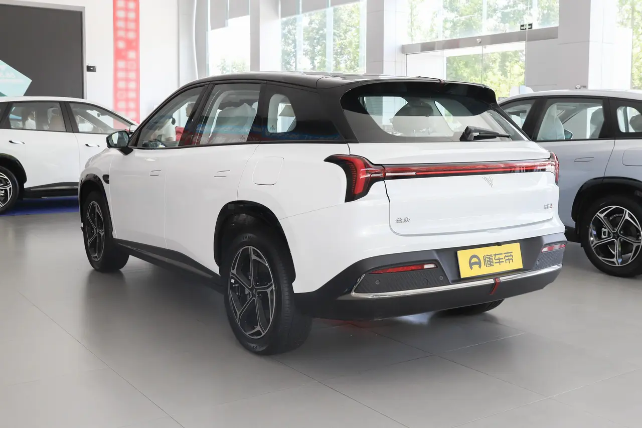 Neta L 2024
