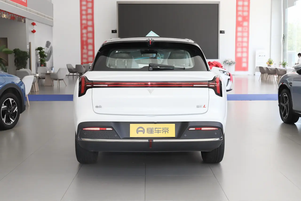 Neta L 2024