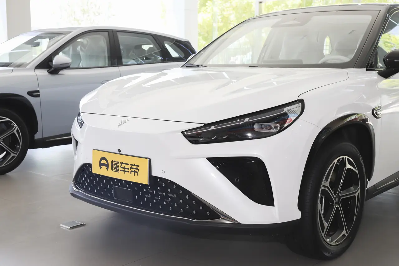 Neta L 2024
