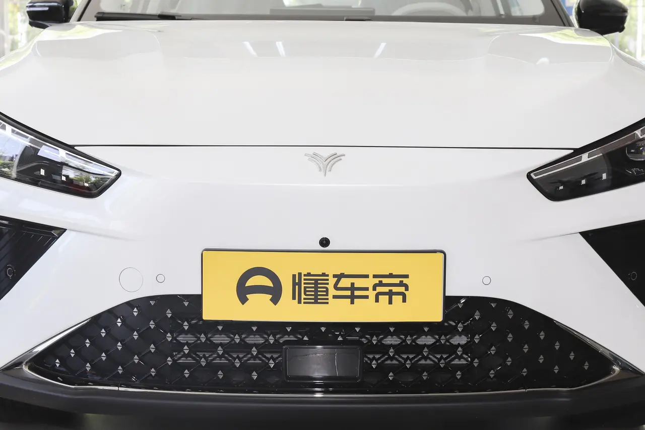 Neta L 2024