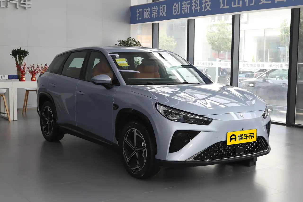 Neta L 2024