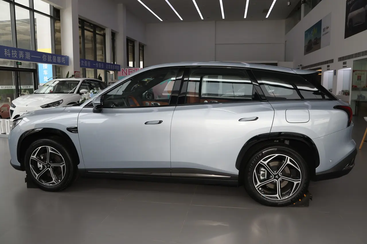 Neta L 2024