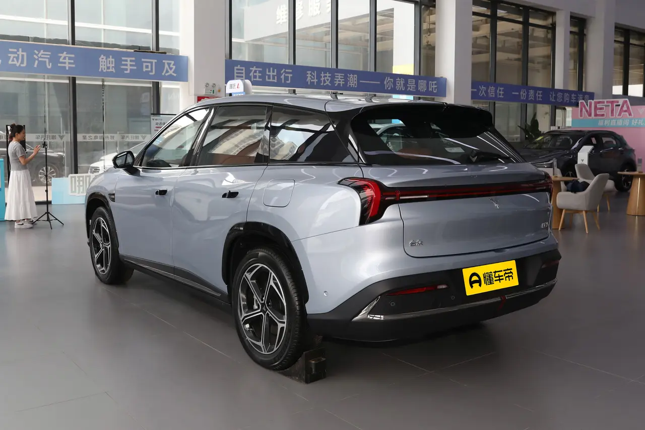 Neta L 2024