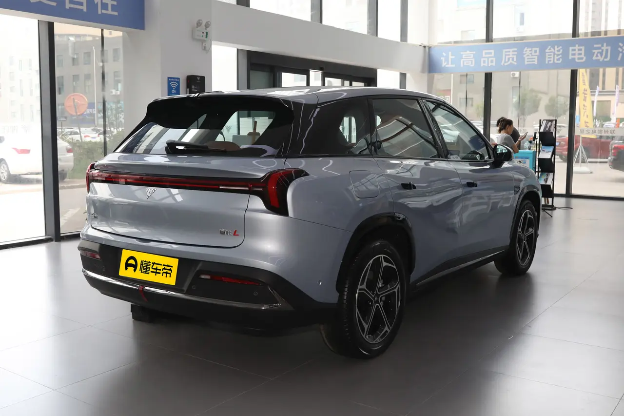 Neta L 2024