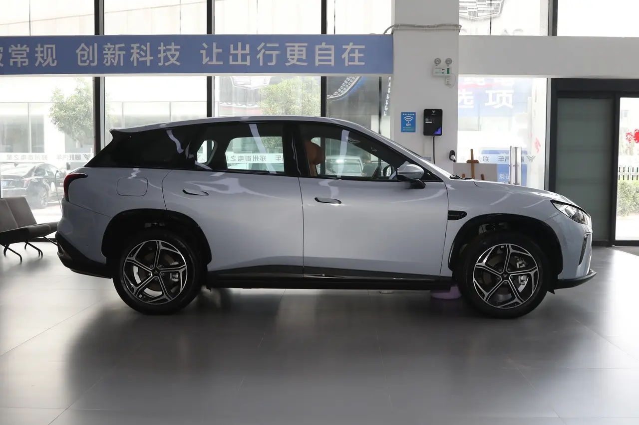 Neta L 2024