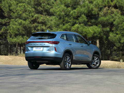 Haval H6 New Energy 2024
