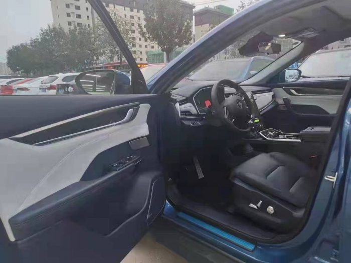 Weltmeister EX5 2020