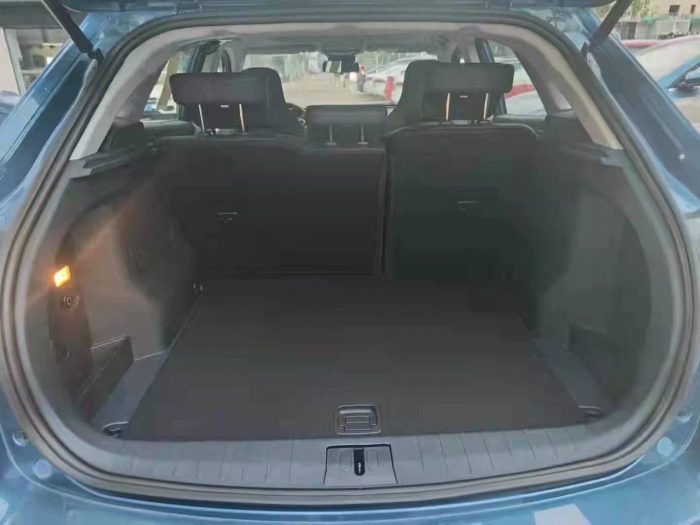 Weltmeister EX5 2020