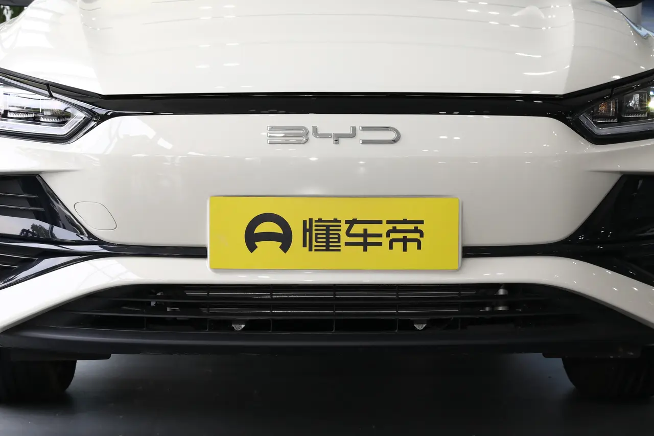 BYD e2 2024