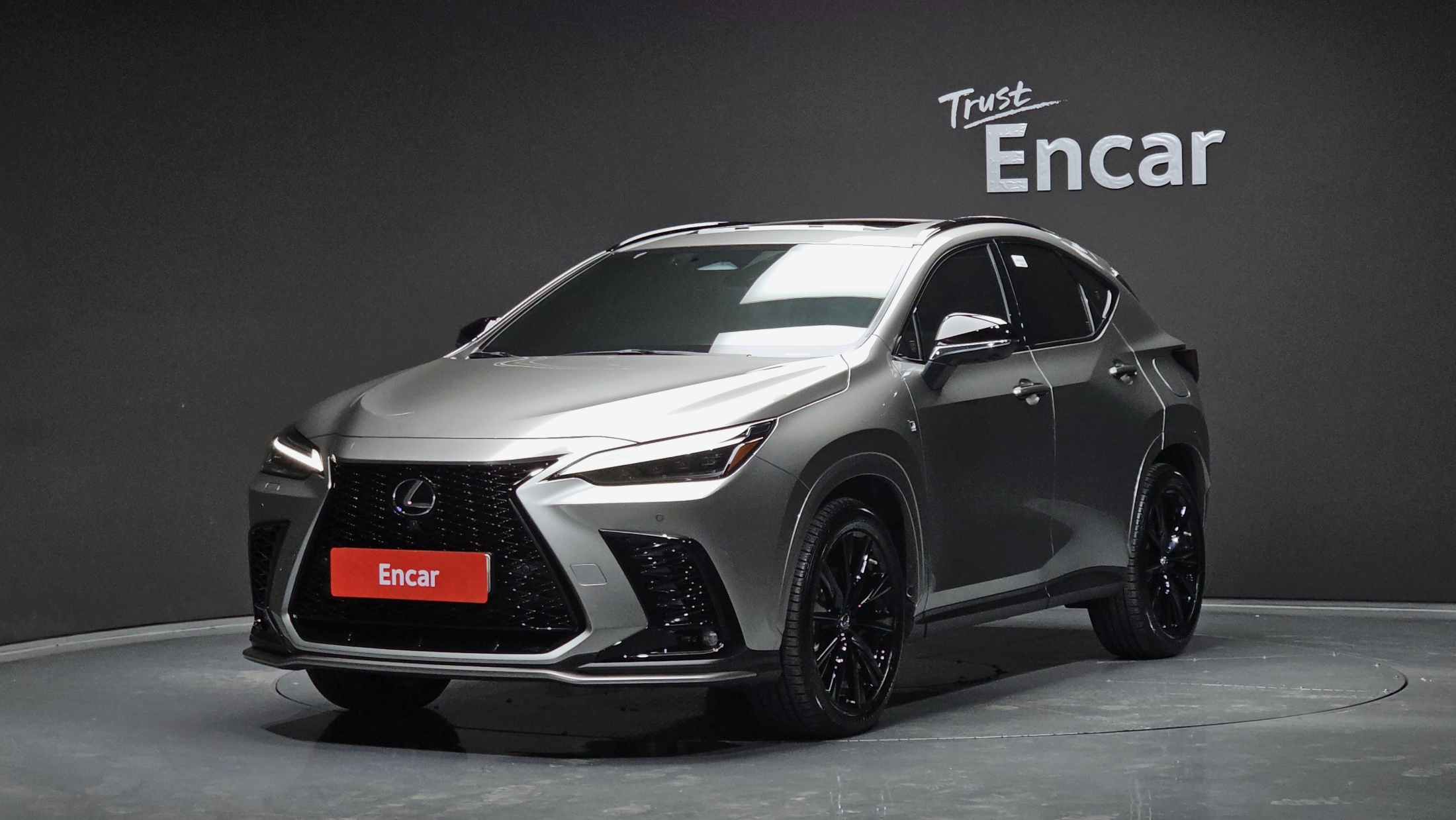 Lexus NX 2022