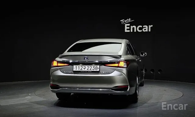 Lexus EX300H 2021