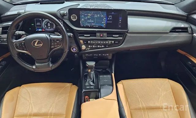 Lexus EX300H 2021