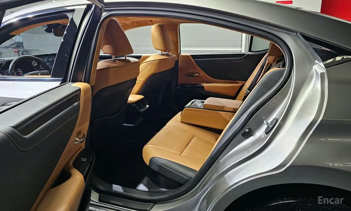 Lexus EX300H 2021