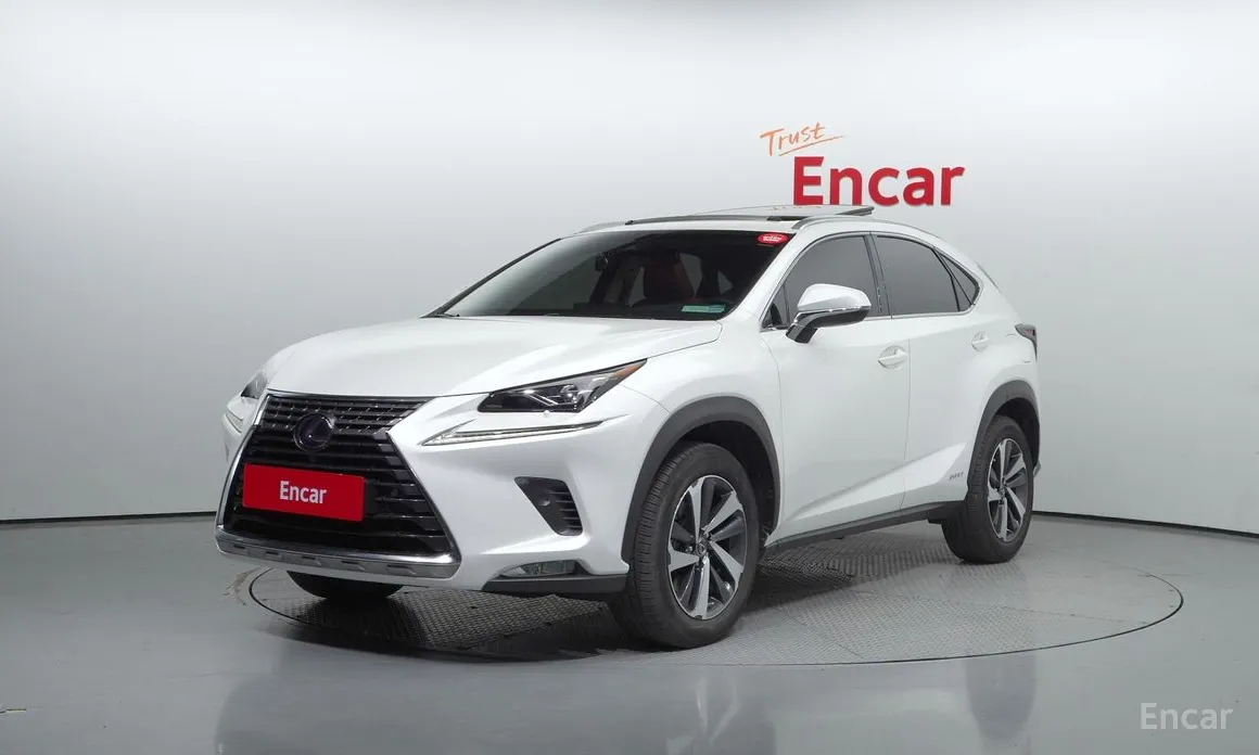 Lexus NX 2019