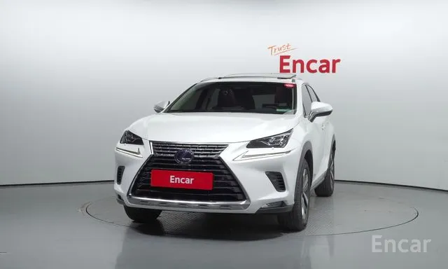 Lexus NX 2019