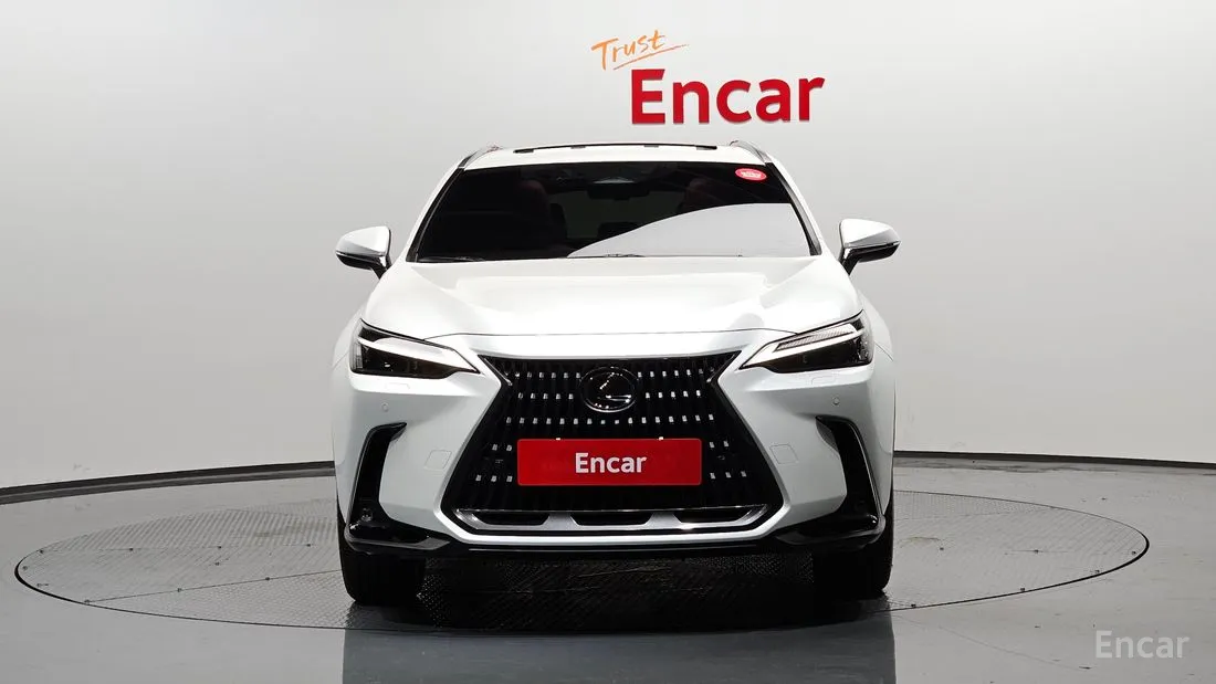 Lexus NX 2023