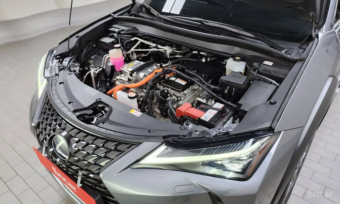 Lexus UX 2022
