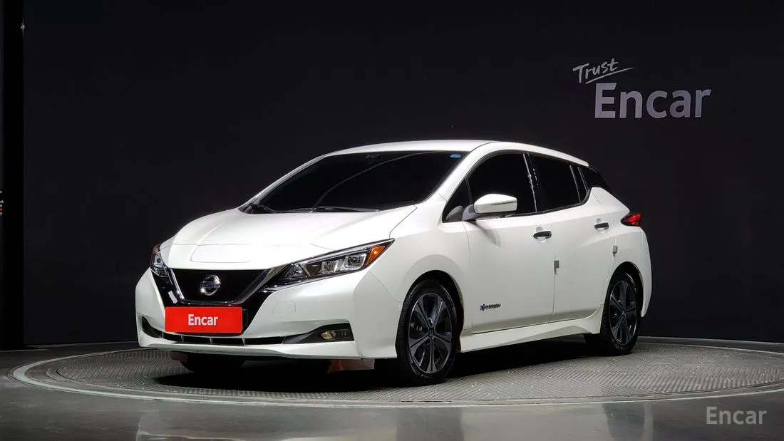 Nissan Leaf 2019