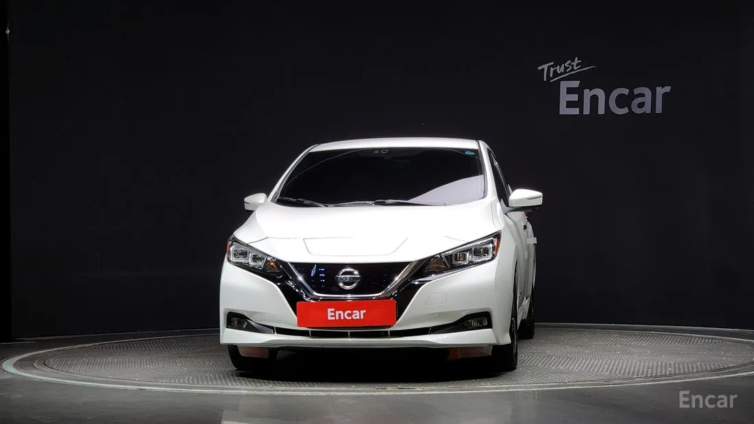 Nissan Leaf 2019