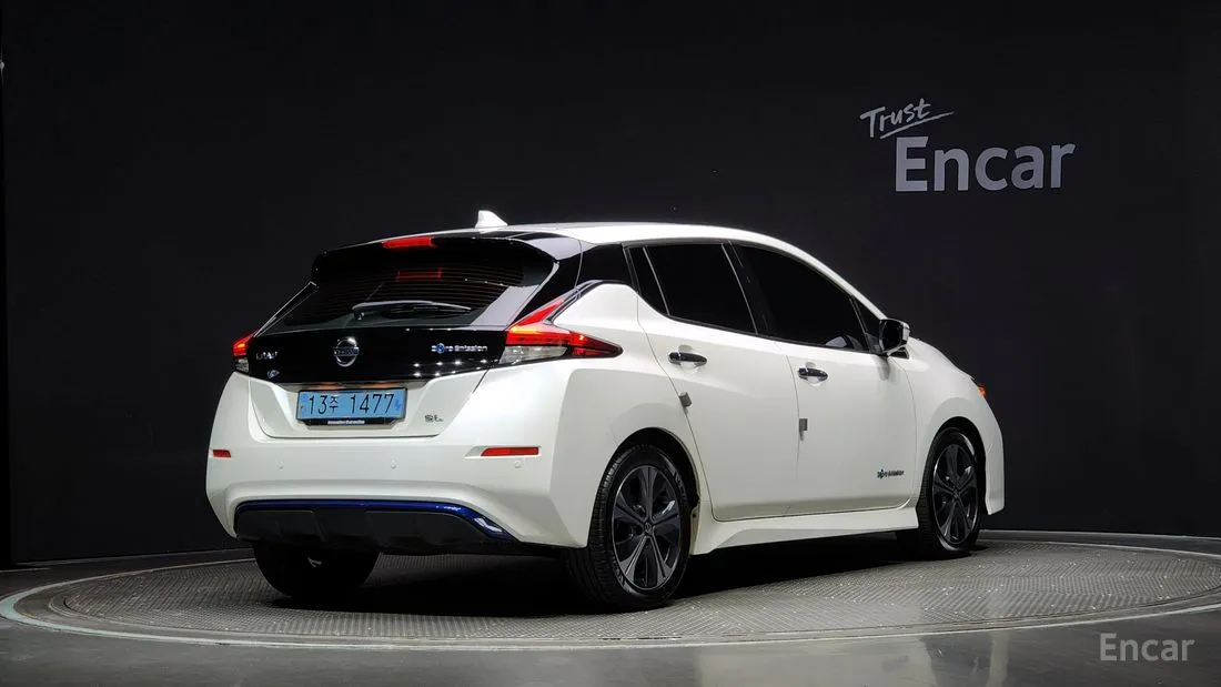 Nissan Leaf 2019