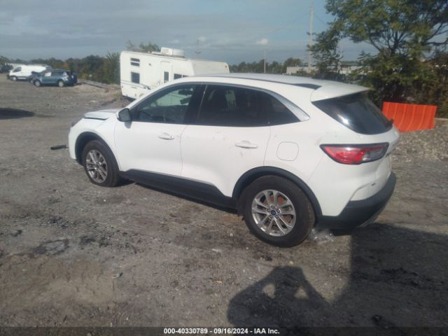 Ford Escape 2021