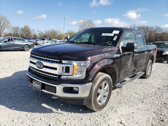 Ford F-150 XIII Рестайлинг 2019