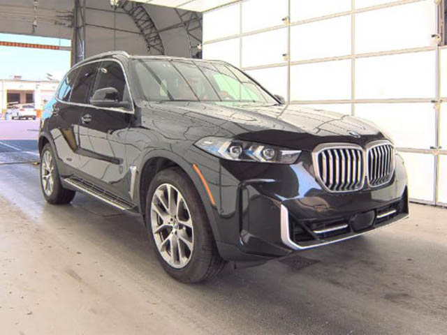 BMW X5 2024