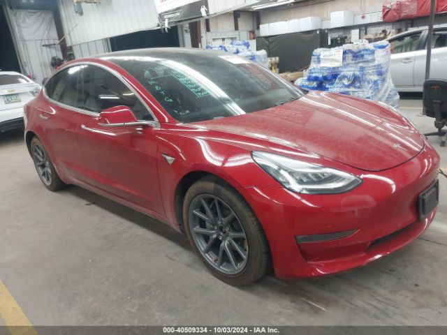 Tesla Model 3 2019