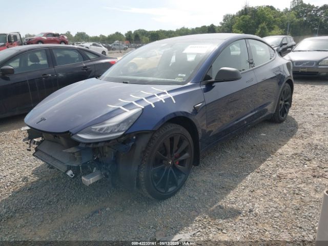 Tesla Model 3 2019