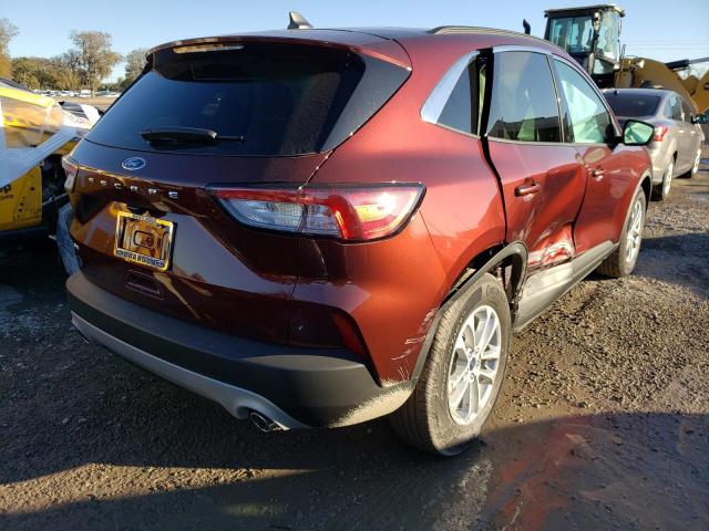 Ford Escape 2021