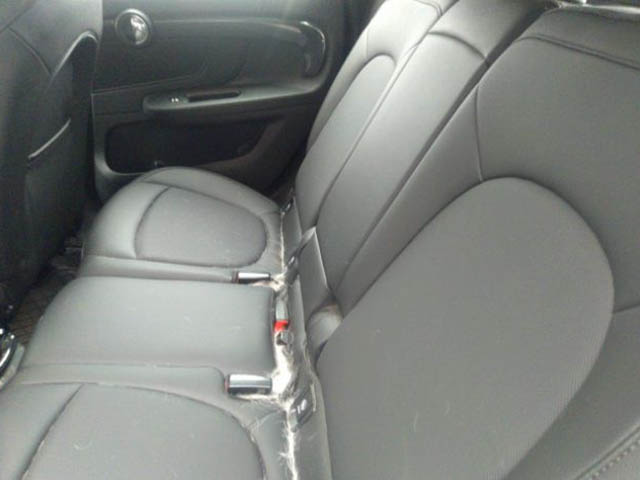 Mini Countryman II 2019