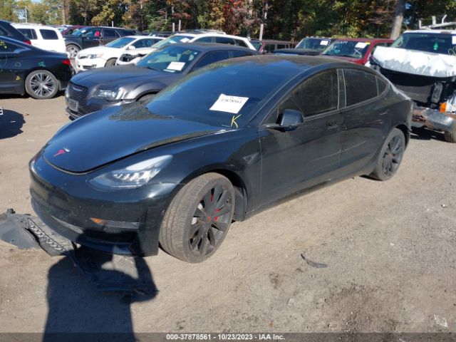 Tesla Model 3 2019