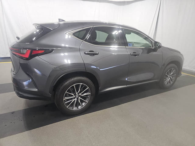 Lexus NX 2022