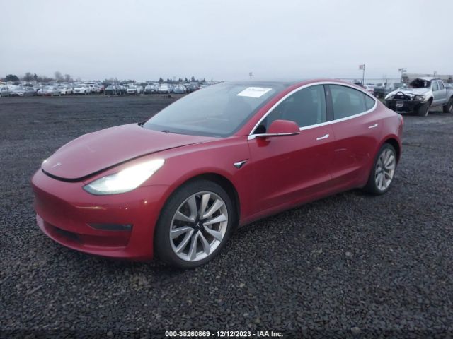 Tesla Model 3 2019