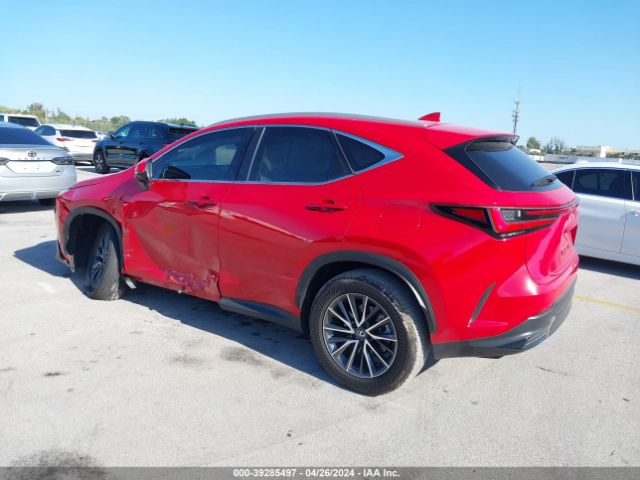 Lexus NX 2024