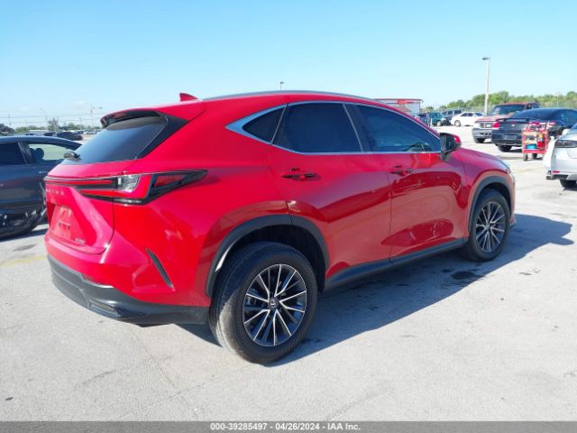 Lexus NX 2024